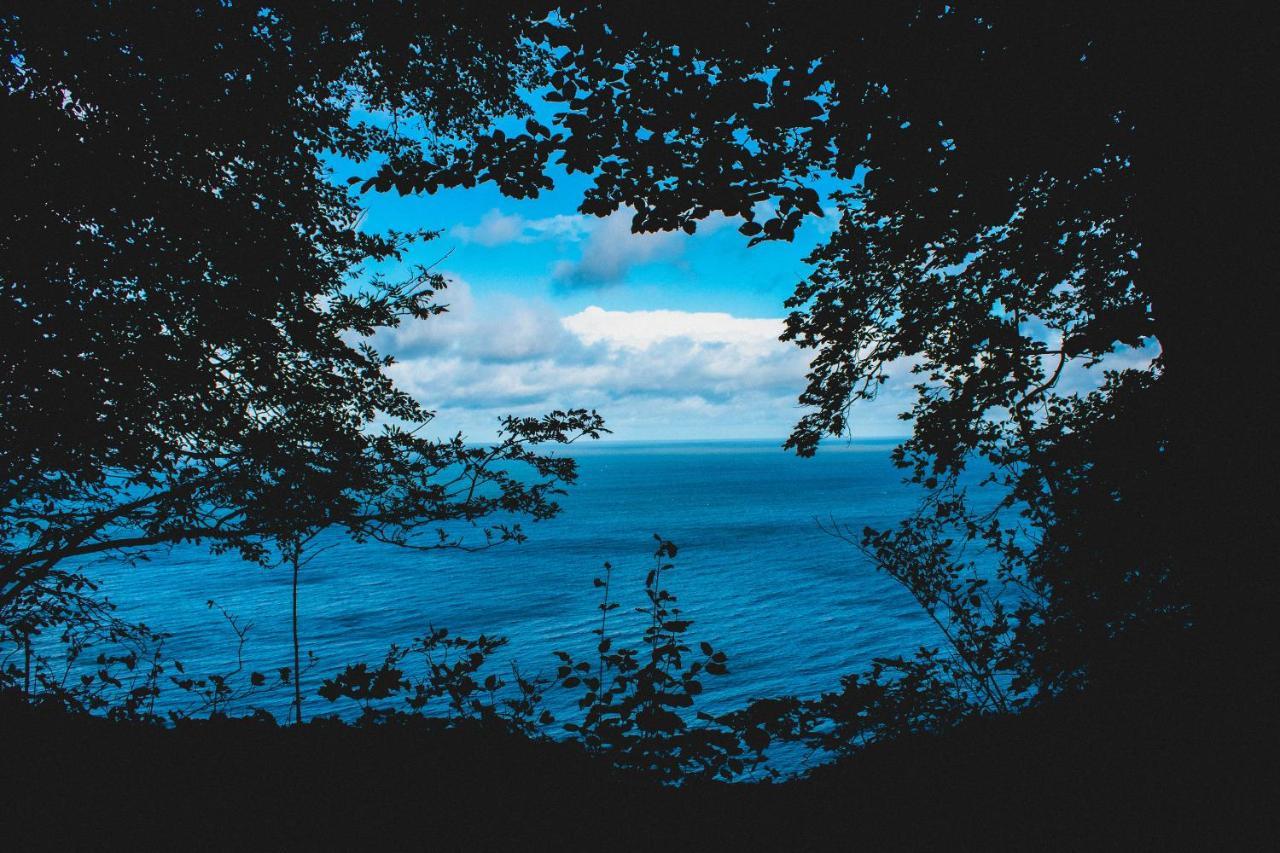 Villa Bella Vista - Meerblick 1 Sassnitz Eksteriør billede